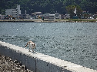 20110806_ishinomaki2.jpg