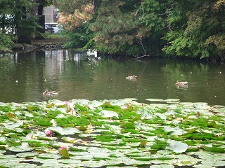 20110914_5sapporo2.jpg