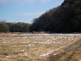 aftersnow2.jpg