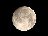 fot.2012fullmoon.jpg