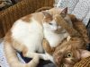人生の先輩は生き字引…勉強になります!