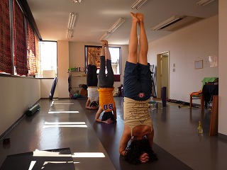 P1000553.jpg