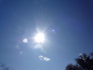 fot.P1010546.jpg