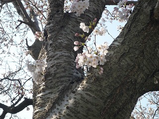 fot.P1010655.jpg