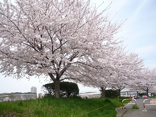 fot.P1010663.jpg