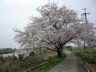 fot.P1010684.jpg
