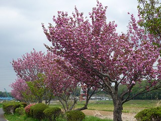fot.P1010689.jpg