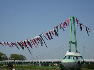 fot.P1010705.jpg