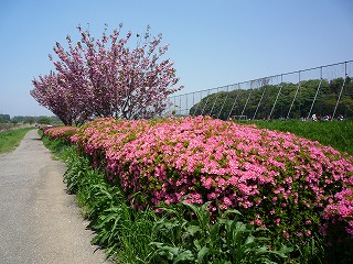 fot.P1010707.jpg
