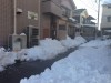 4年ぶりの積雪…✤慎重な生活を…✤原点回帰