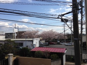 IMG_0526