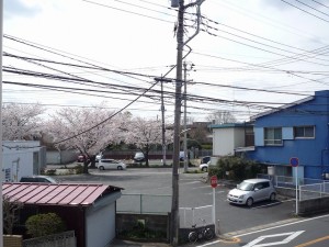 P1030900