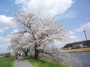 P1030903