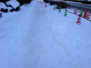 IMG_0452