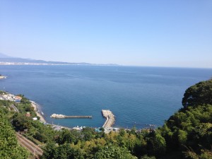 IMG_1322