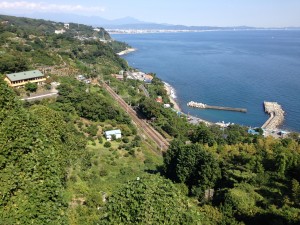 IMG_1325