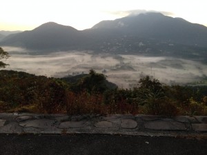 IMG_1342