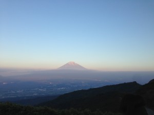 IMG_1350