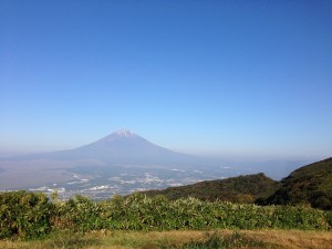 IMG_1354