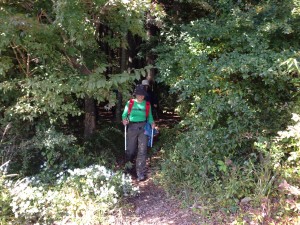 IMG_1358