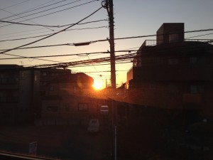 IMG_1892