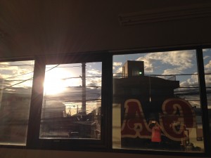 IMG_1981