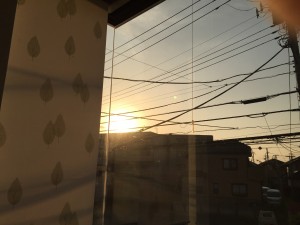 IMG_2266