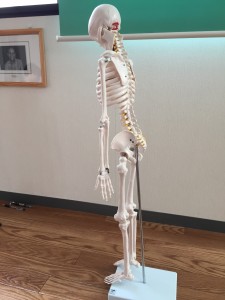 IMG_2284