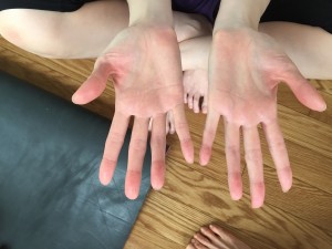 IMG_2290