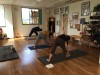 ≪WS報告≫オールドスタイルは大切です☆フルヴィンヤサハーフプライマリー