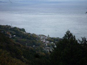 P1030920