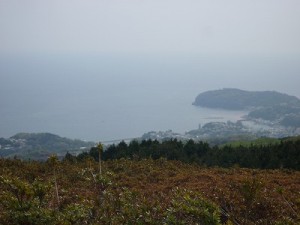 P1030929