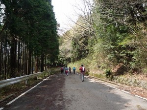 P1030937