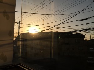 IMG_2365