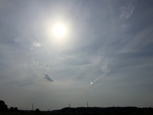 IMG_2422