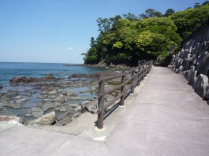 P1030980