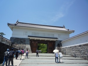 P1030990