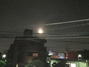 IMG_2531