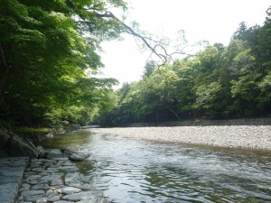 P1040055