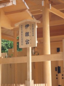 vcm_s_kf_repr_624x832