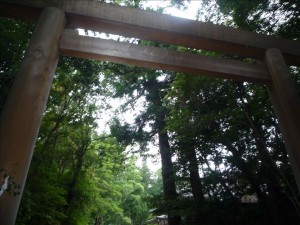 vcm_s_kf_repr_832x624