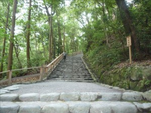 vcm_s_kf_repr_832x624
