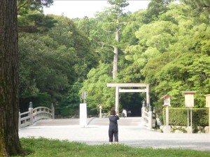 vcm_s_kf_repr_832x624
