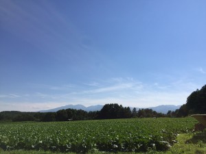 IMG_2842