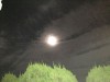 月と太陽☆調和が大切です。