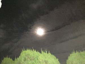 vcm_s_kf_repr_832x624