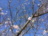 秋一色…☆心が洗われます。。。