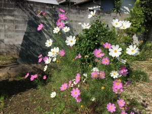 vcm_s_kf_repr_832x624