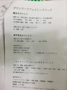 vcm_s_kf_repr_832x624