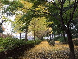 vcm_s_kf_repr_832x624